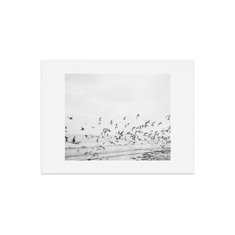 "Seagulls" | Coastal black and white photo | Film photography | Beach Art Print