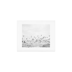 "Seagulls" | Coastal black and white photo | Film photography | Beach Art Print