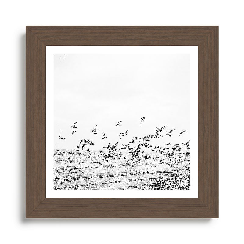 "Seagulls" | Coastal black and white photo | Film photography | Beach - square Framed Art Print