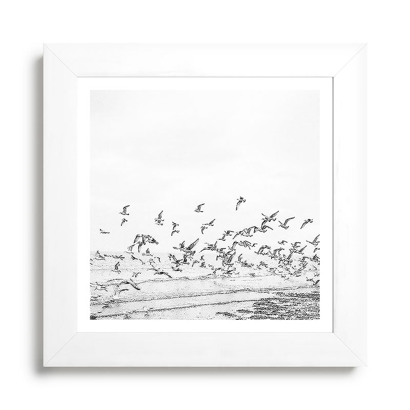"Seagulls" | Coastal black and white photo | Film photography | Beach - square Framed Art Print