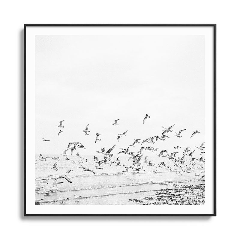 "Seagulls" | Coastal black and white photo | Film photography | Beach - square Framed Art Print
