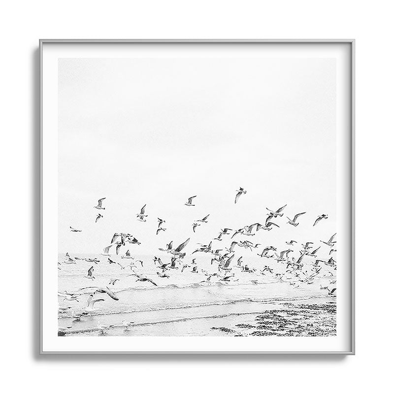 "Seagulls" | Coastal black and white photo | Film photography | Beach - square Framed Art Print