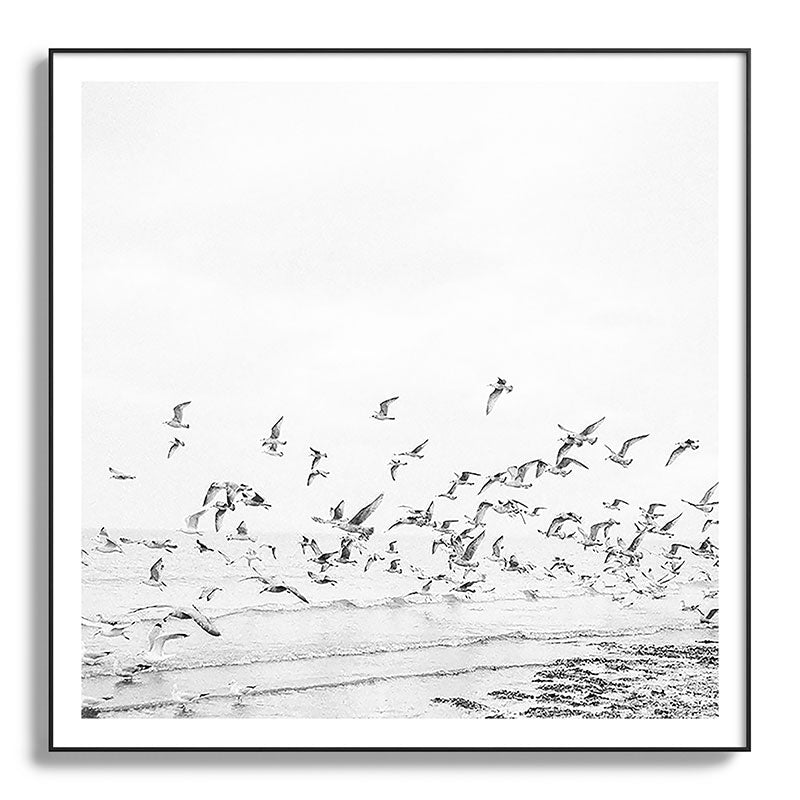 "Seagulls" | Coastal black and white photo | Film photography | Beach - square Framed Art Print