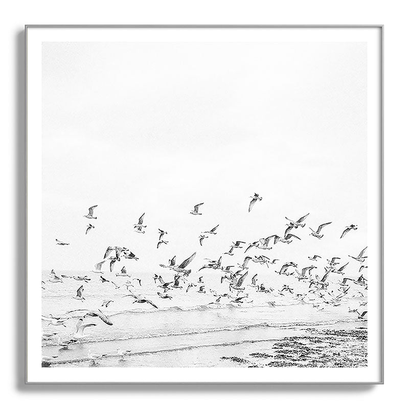 "Seagulls" | Coastal black and white photo | Film photography | Beach - square Framed Art Print