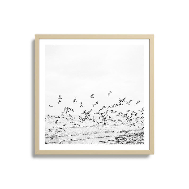 "Seagulls" | Coastal black and white photo | Film photography | Beach - square Framed Art Print