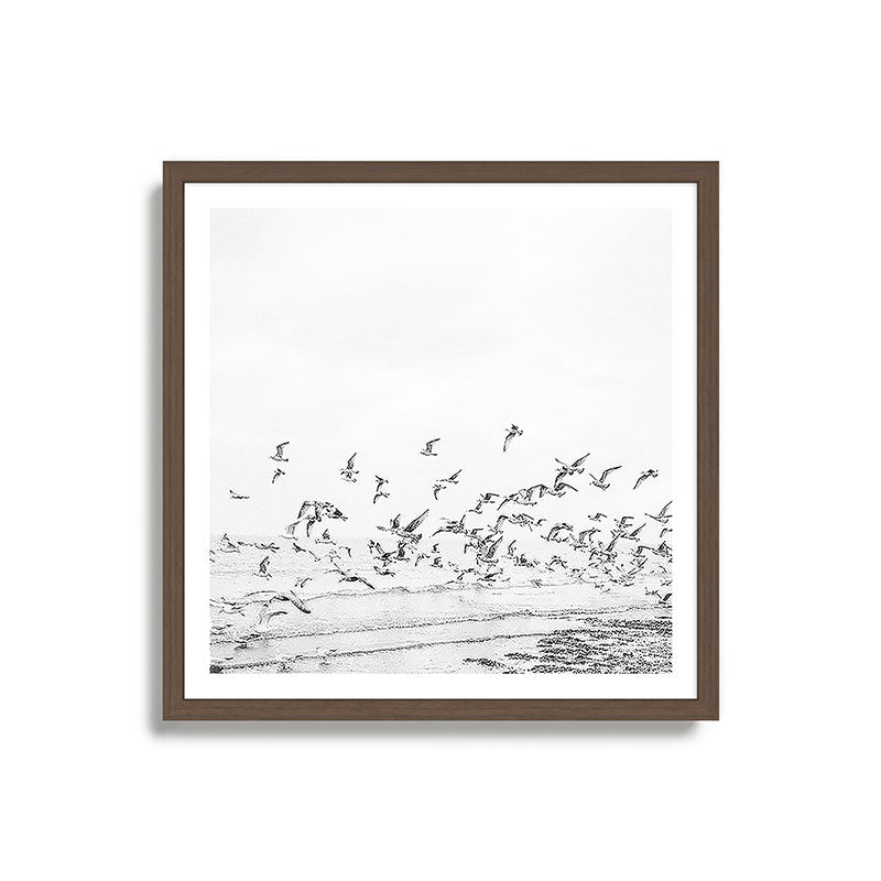 "Seagulls" | Coastal black and white photo | Film photography | Beach - square Framed Art Print