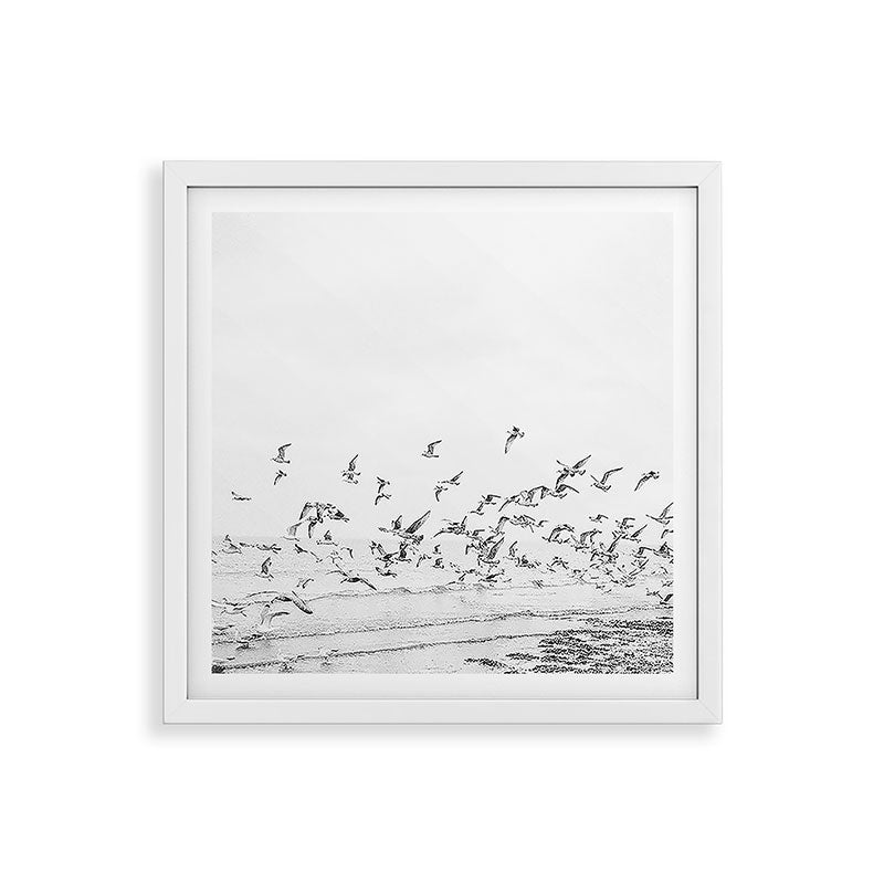 "Seagulls" | Coastal black and white photo | Film photography | Beach - square Framed Art Print