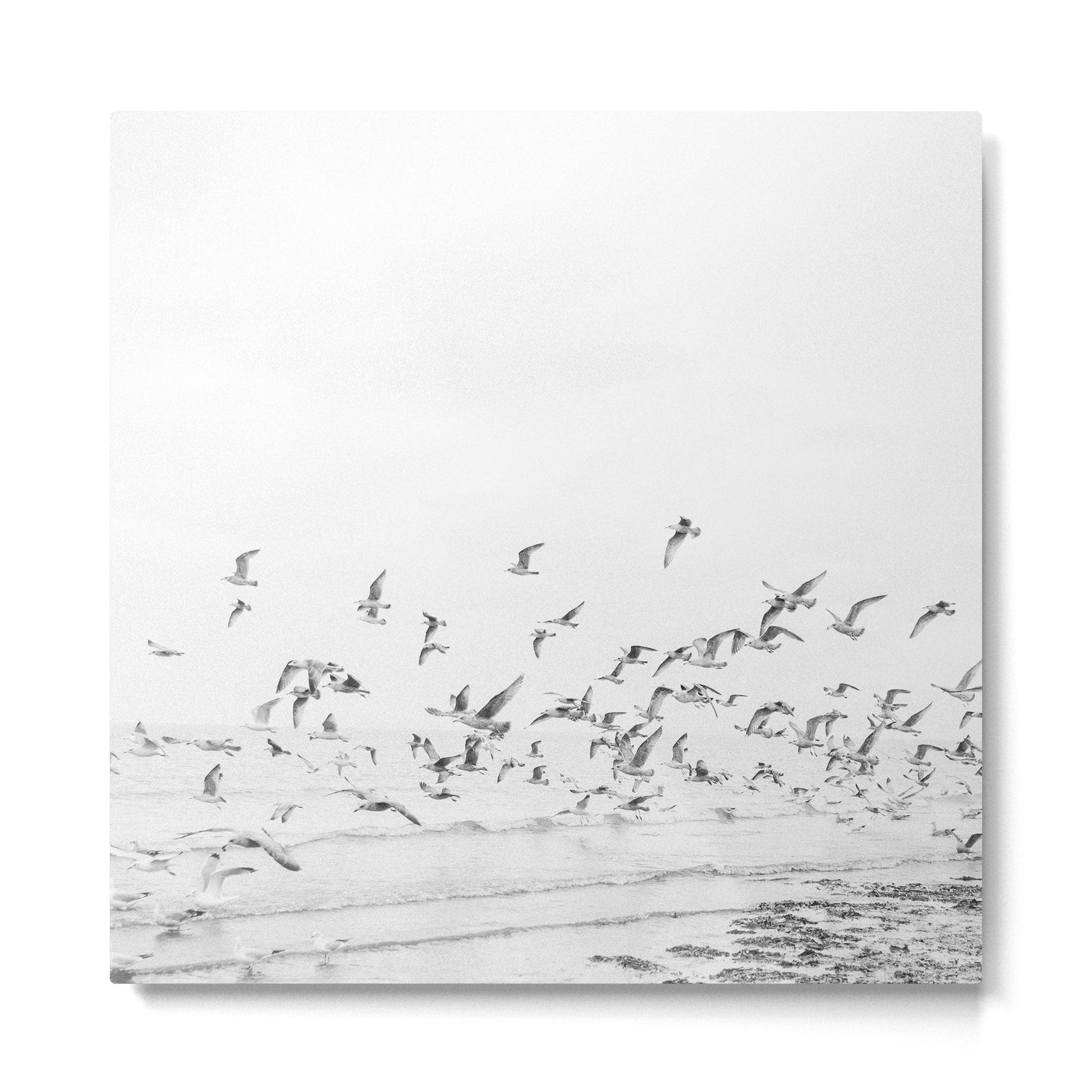 "Seagulls" | Coastal black and white photo | Film photography | Beach - square Metal Print