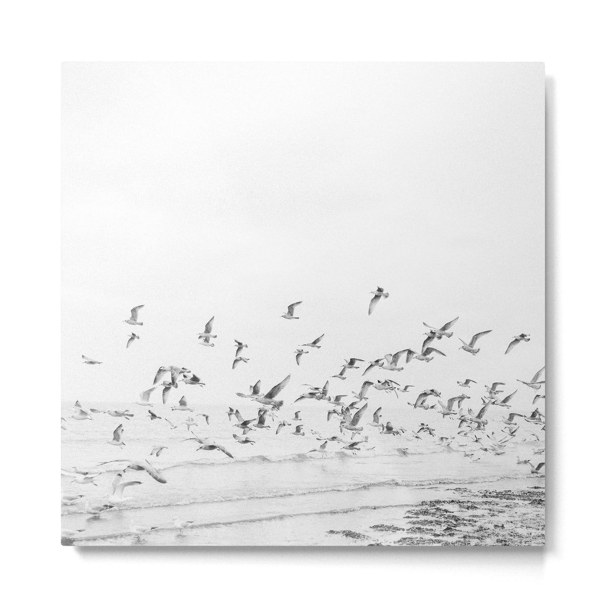 "Seagulls" | Coastal black and white photo | Film photography | Beach - square Metal Print