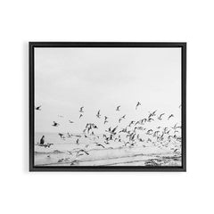 "Seagulls" | Coastal black and white photo | Film photography | Beach Framed Canvas Print
