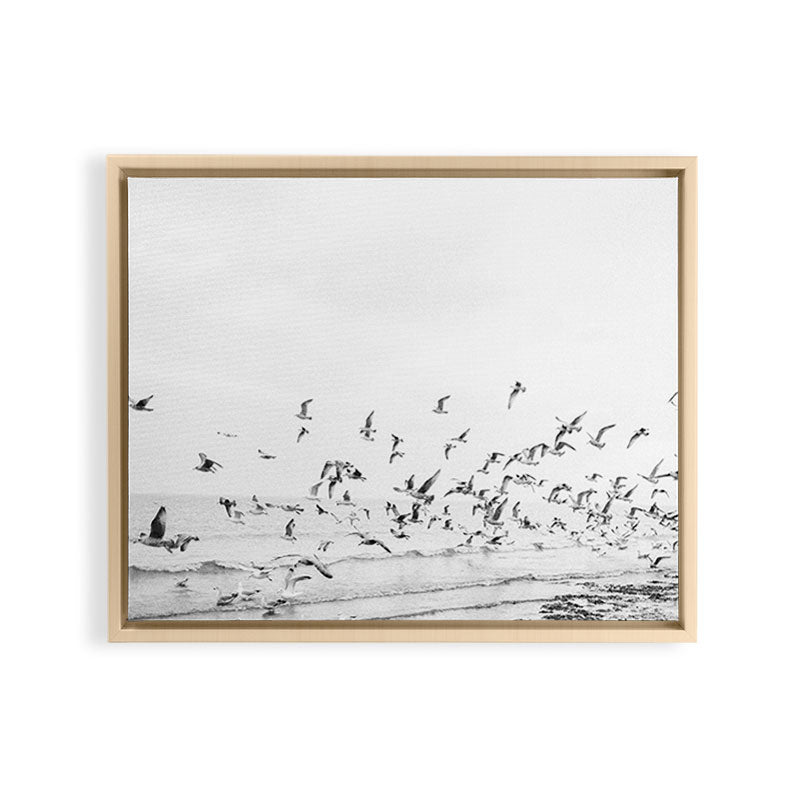 "Seagulls" | Coastal black and white photo | Film photography | Beach Framed Canvas Print