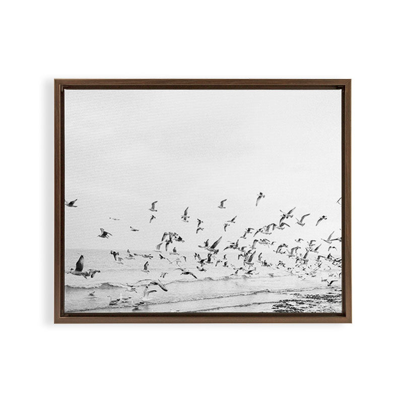 "Seagulls" | Coastal black and white photo | Film photography | Beach Framed Canvas Print
