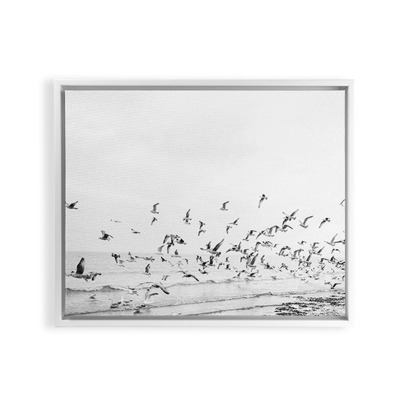 "Seagulls" | Coastal black and white photo | Film photography | Beach Framed Canvas Print