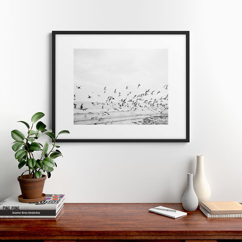 "Seagulls" | Coastal black and white photo | Film photography | Beach Framed Art Print