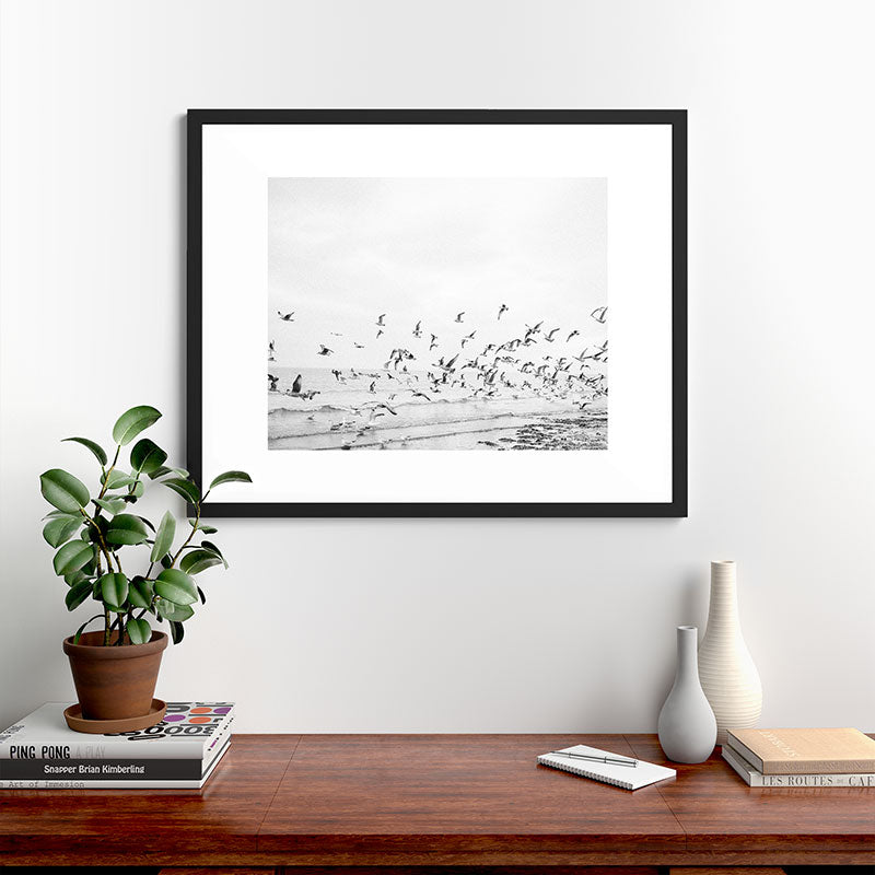 "Seagulls" | Coastal black and white photo | Film photography | Beach Framed Art Print