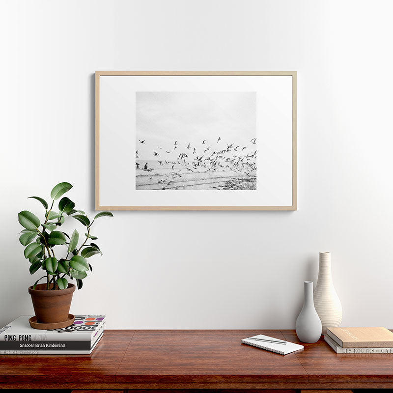 "Seagulls" | Coastal black and white photo | Film photography | Beach Framed Art Print