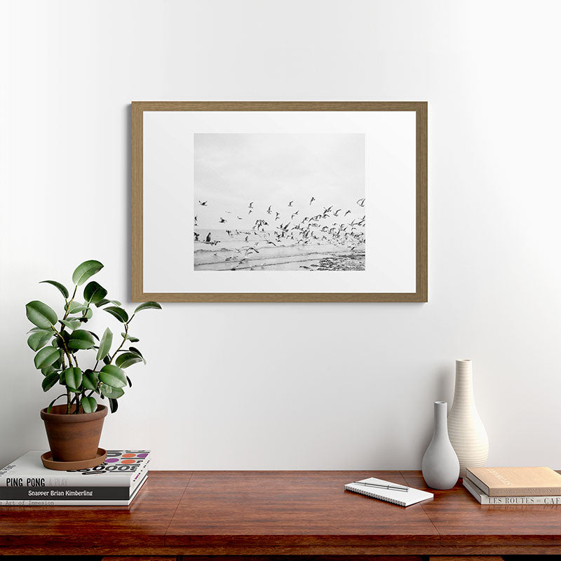 "Seagulls" | Coastal black and white photo | Film photography | Beach Framed Art Print