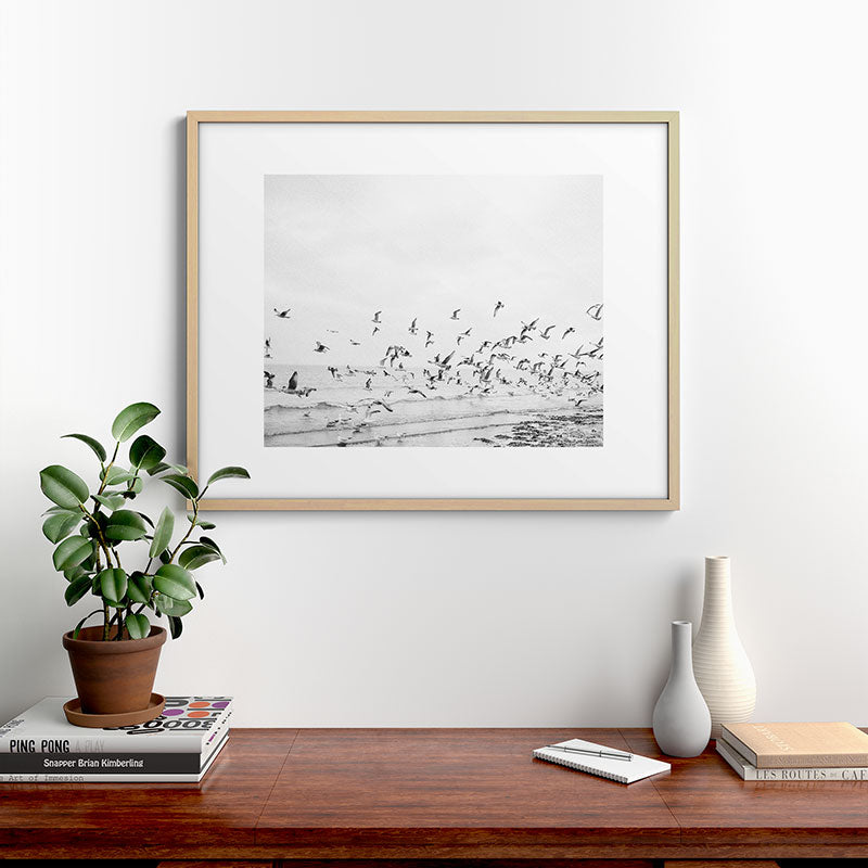 "Seagulls" | Coastal black and white photo | Film photography | Beach Framed Art Print