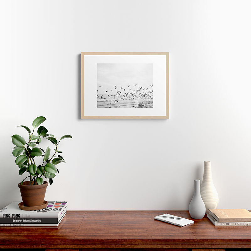 "Seagulls" | Coastal black and white photo | Film photography | Beach Framed Art Print