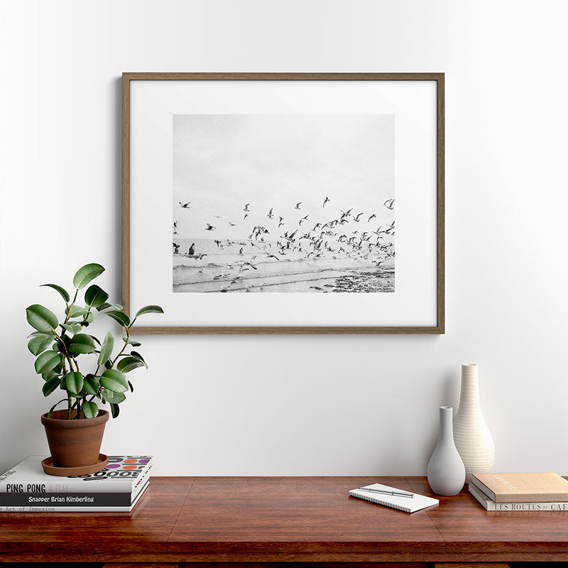 "Seagulls" | Coastal black and white photo | Film photography | Beach Framed Art Print