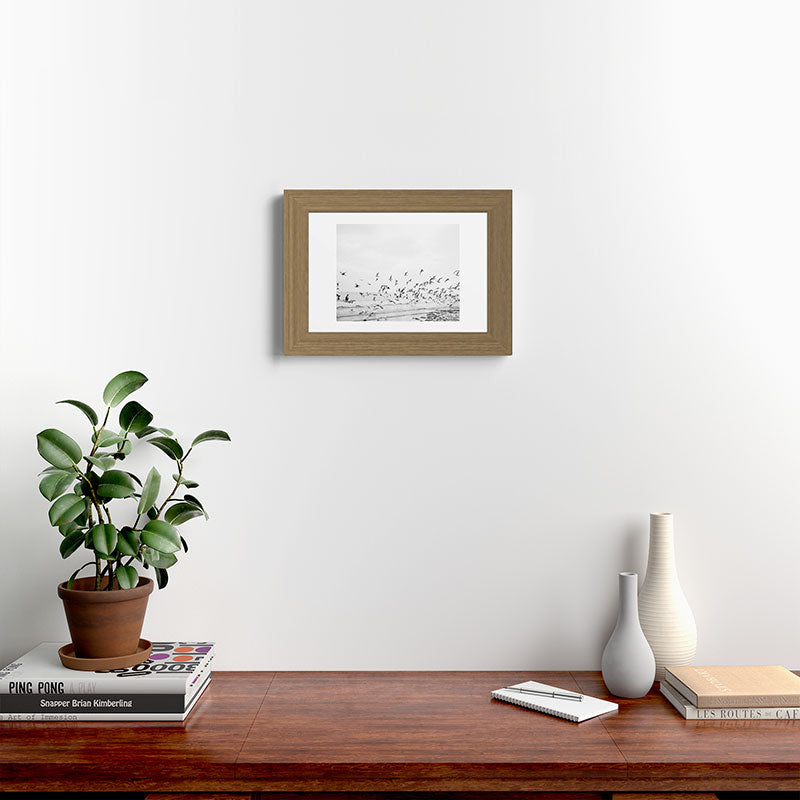 "Seagulls" | Coastal black and white photo | Film photography | Beach Framed Art Print