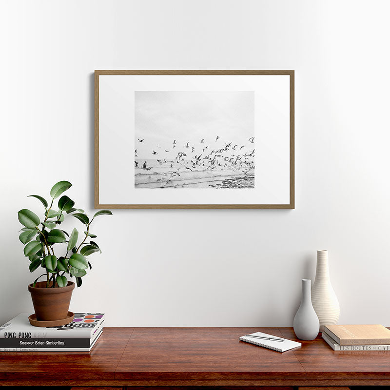 "Seagulls" | Coastal black and white photo | Film photography | Beach Framed Art Print