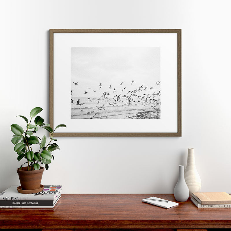 "Seagulls" | Coastal black and white photo | Film photography | Beach Framed Art Print