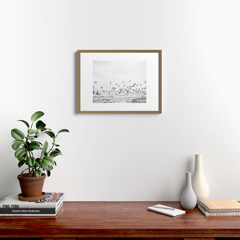 "Seagulls" | Coastal black and white photo | Film photography | Beach Framed Art Print