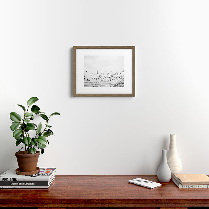 "Seagulls" | Coastal black and white photo | Film photography | Beach Framed Art Print