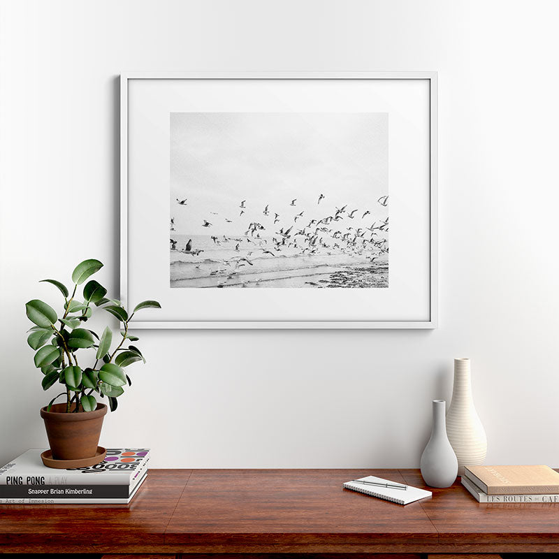 "Seagulls" | Coastal black and white photo | Film photography | Beach Framed Art Print