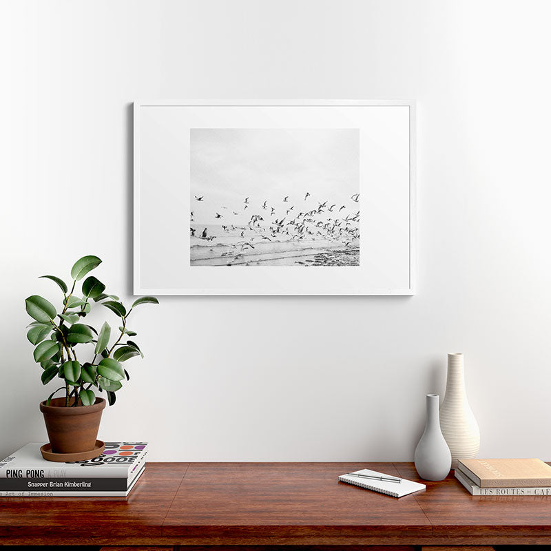 "Seagulls" | Coastal black and white photo | Film photography | Beach Framed Art Print