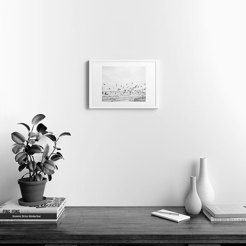 "Seagulls" | Coastal black and white photo | Film photography | Beach Framed Art Print