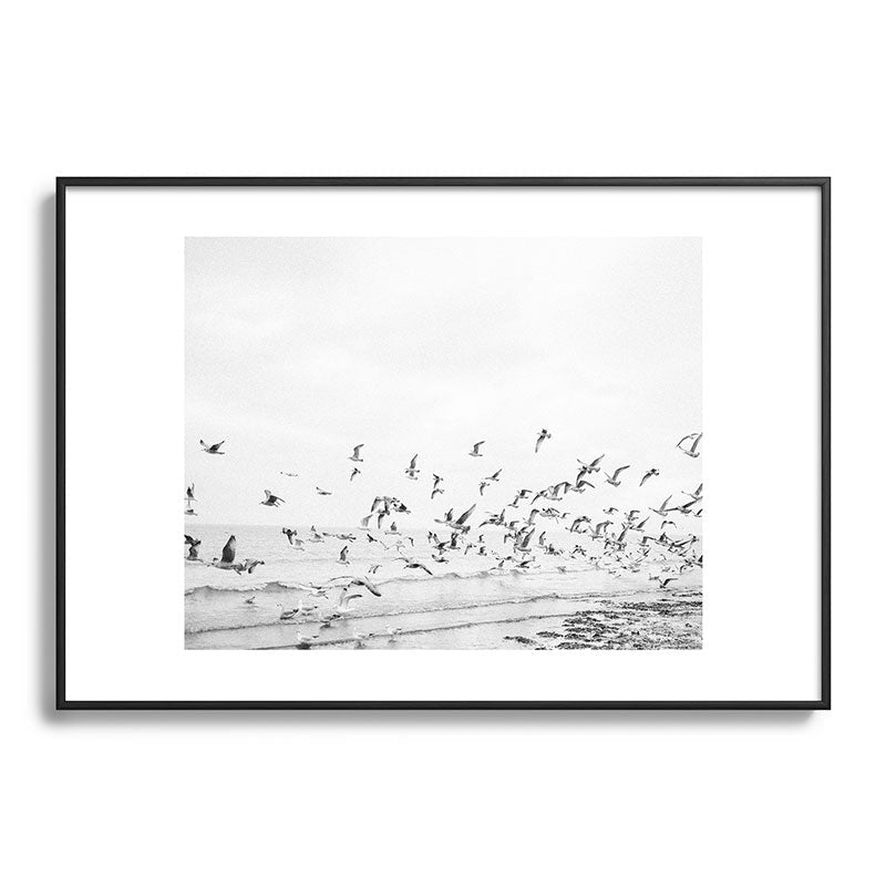 "Seagulls" | Coastal black and white photo | Film photography | Beach Framed Art Print