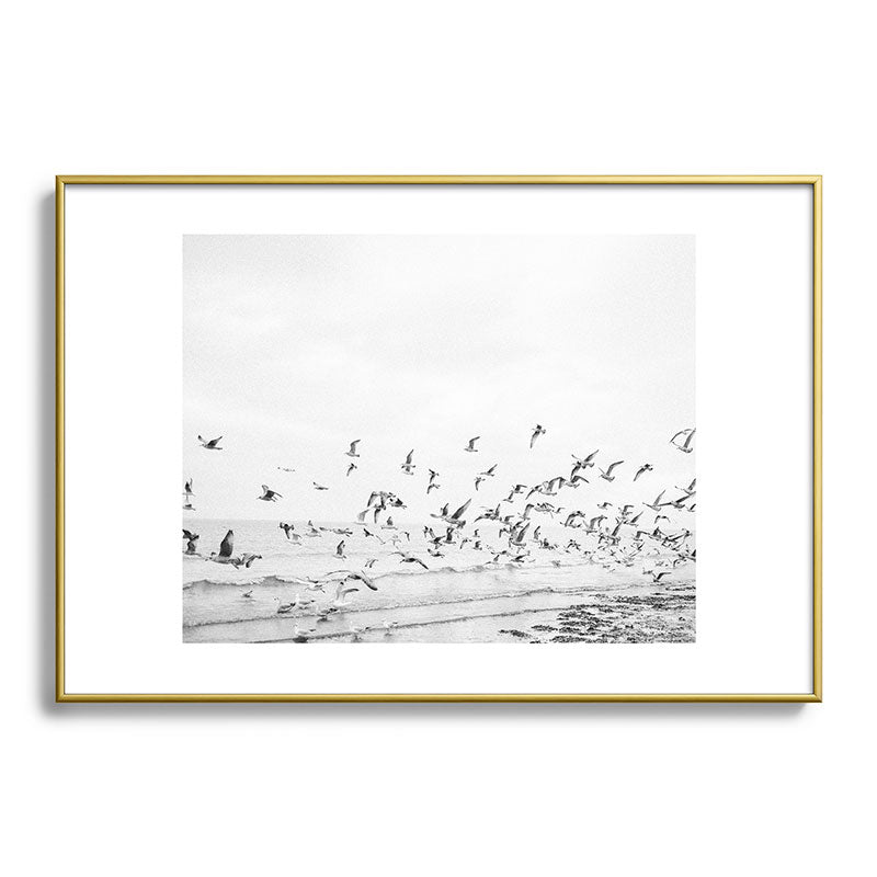 "Seagulls" | Coastal black and white photo | Film photography | Beach Framed Art Print