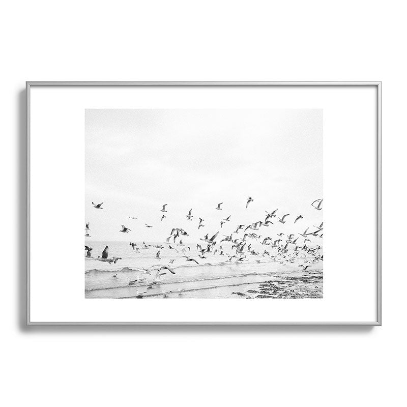 "Seagulls" | Coastal black and white photo | Film photography | Beach Framed Art Print