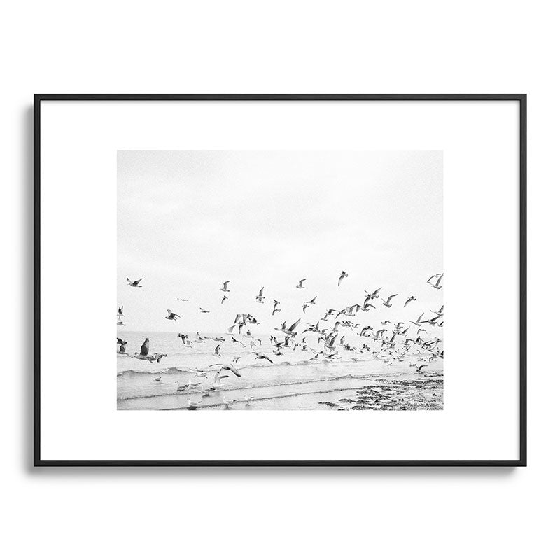 "Seagulls" | Coastal black and white photo | Film photography | Beach Framed Art Print