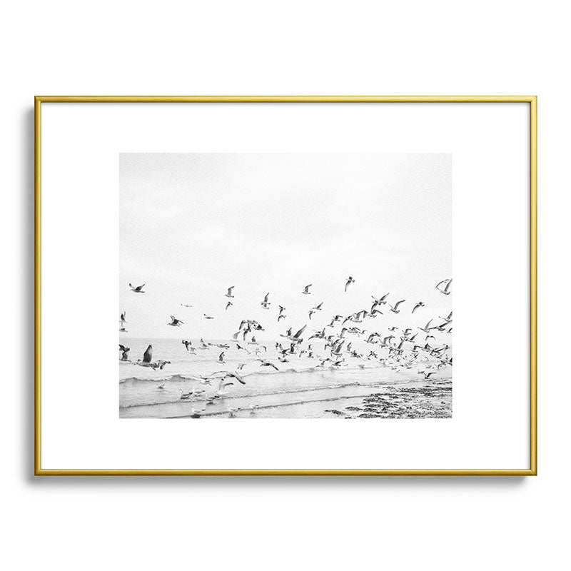 "Seagulls" | Coastal black and white photo | Film photography | Beach Framed Art Print