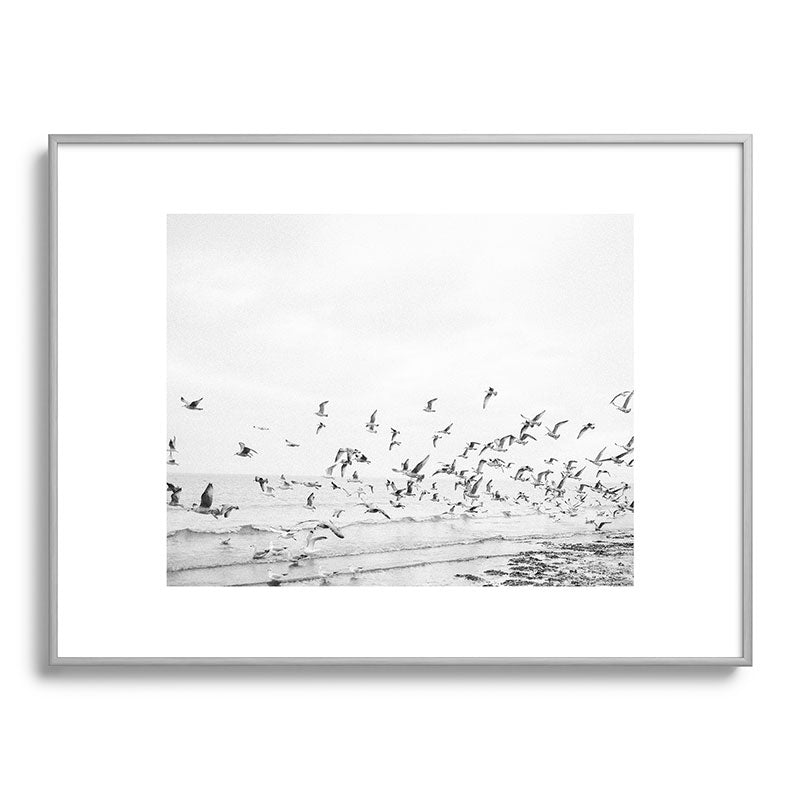 "Seagulls" | Coastal black and white photo | Film photography | Beach Framed Art Print