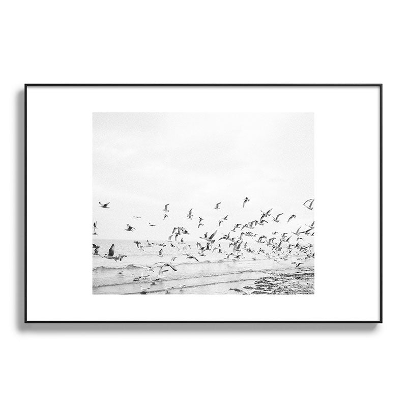 "Seagulls" | Coastal black and white photo | Film photography | Beach Framed Art Print