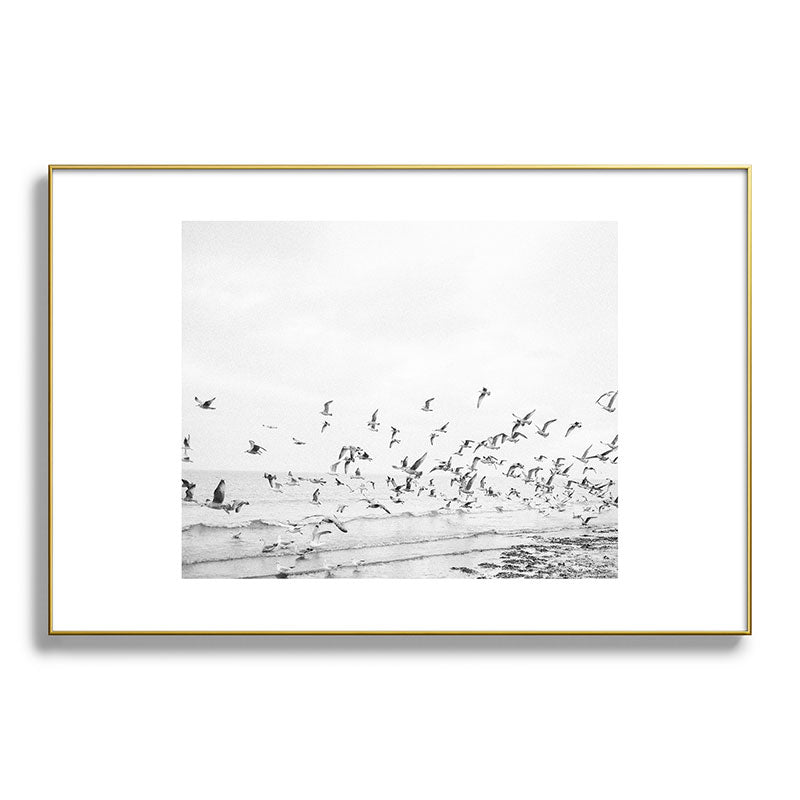 "Seagulls" | Coastal black and white photo | Film photography | Beach Framed Art Print