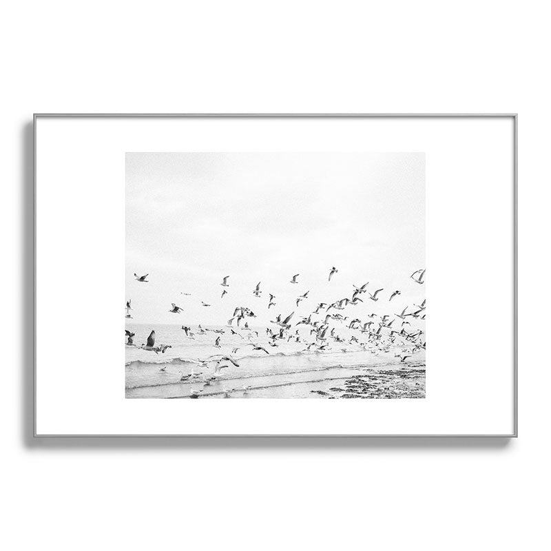 "Seagulls" | Coastal black and white photo | Film photography | Beach Framed Art Print
