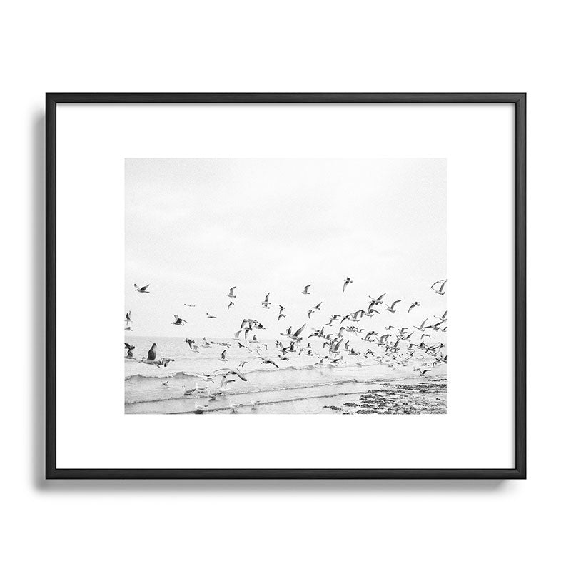 "Seagulls" | Coastal black and white photo | Film photography | Beach Framed Art Print