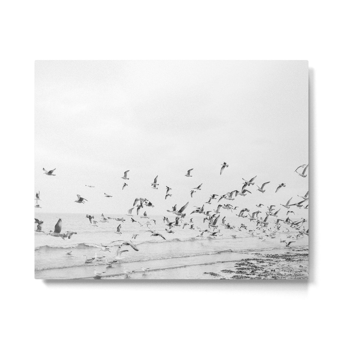 "Seagulls" | Coastal black and white photo | Film photography | Beach Metal Print