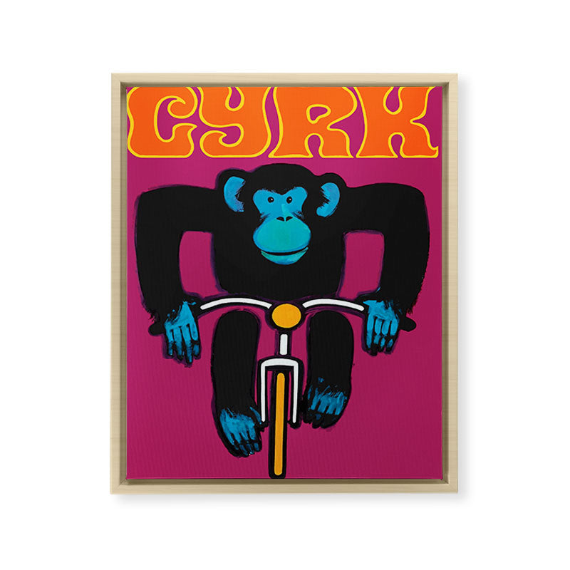 1968 CYRK Cycling Chimpanzee Polish Circus Poster Framed Canvas Print