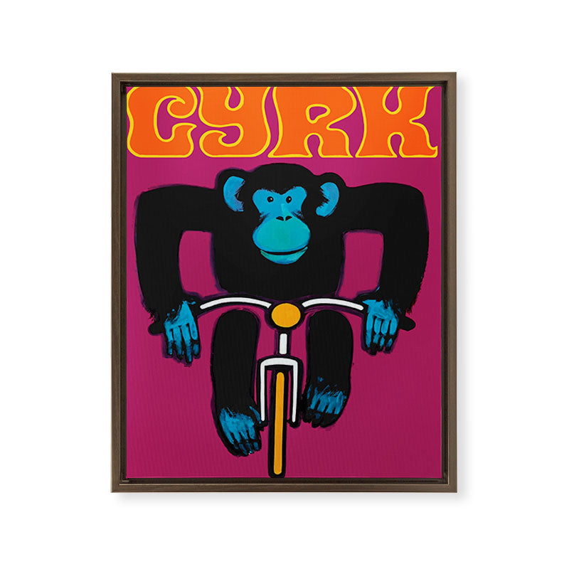 1968 CYRK Cycling Chimpanzee Polish Circus Poster Framed Canvas Print