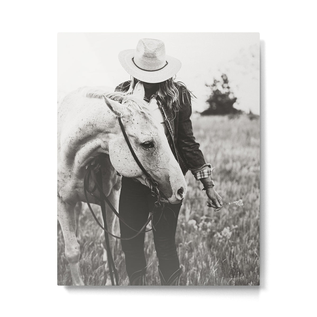A Cowgirl & Her Horse - Black & White Photo Metal Print