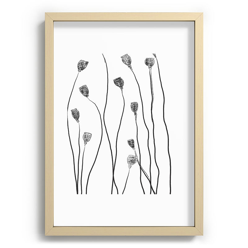 A group of poppy heads Framed Art Print