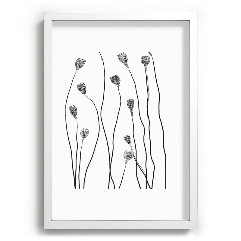 A group of poppy heads Framed Art Print