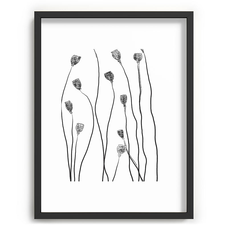 A group of poppy heads Framed Art Print