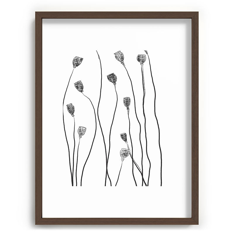 A group of poppy heads Framed Art Print